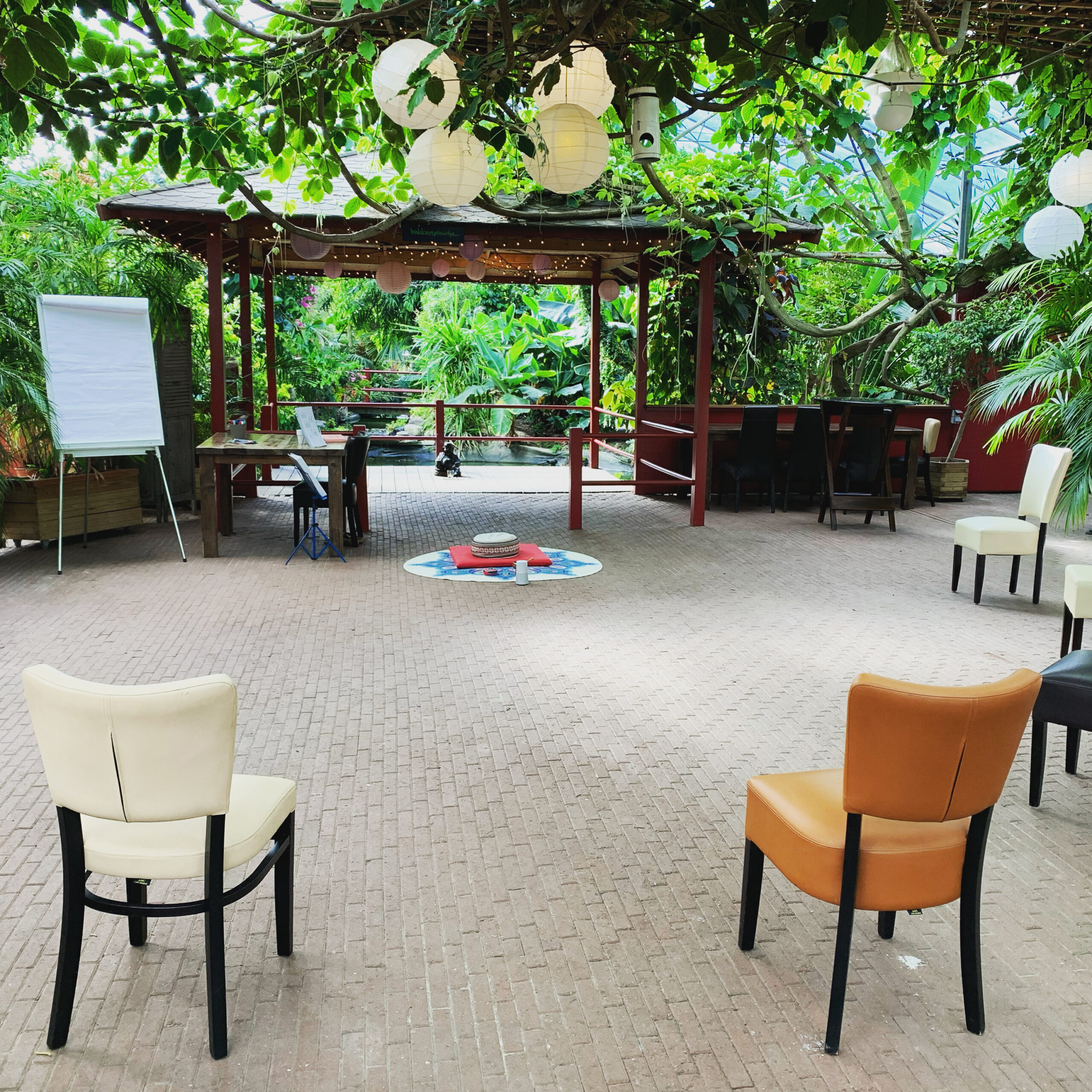 balansante mindfulenss mbsr opleiding