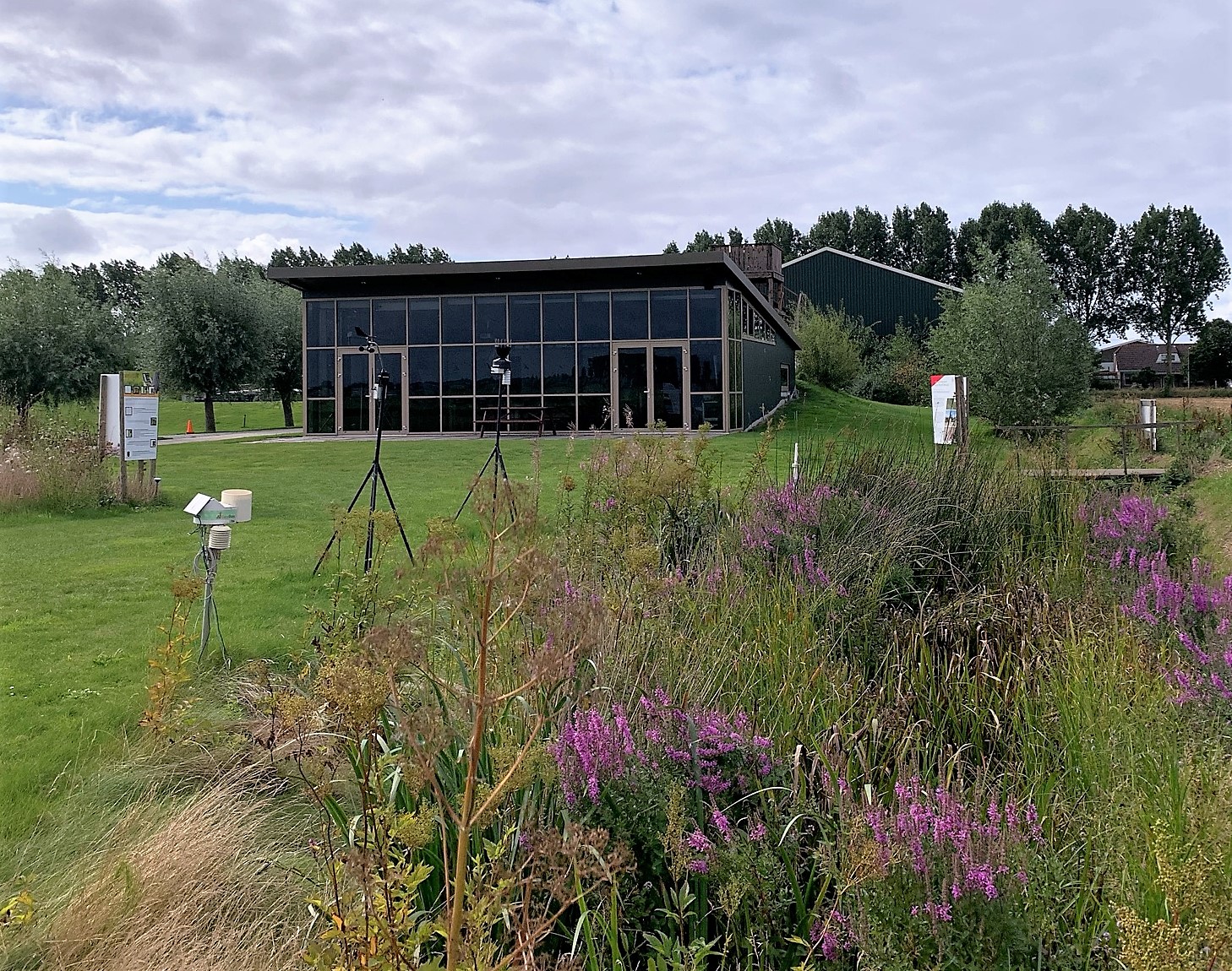 mindfulness trainingen en opleidingen haarlemmermeer